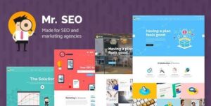 Mr. SEO - Social Media Marketing Agency Theme