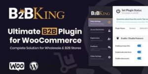 B2BKing - The Ultimate WooCommerce B2B & Wholesale Plugin