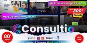 Consultio - Consulting Corporate