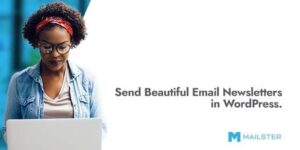 Mailster - Email Newsletter Plugin for WordPress