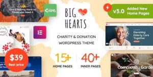 BigHearts - Charity & Donation WordPress Theme