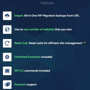 All-in-One WP Migration URL Extension