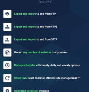 All-in-One WP Migration FTP Extension