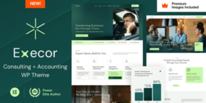 Execor – Accounting and Management Consulting WordPress Theme